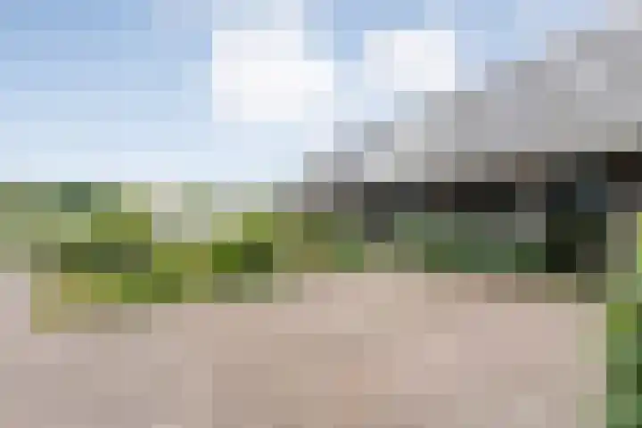 Veldhuisweg 1 a IJhorst thumbnail 8