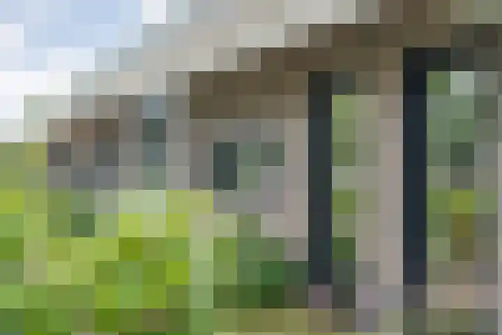 Veldhuisweg 1 a IJhorst thumbnail 9