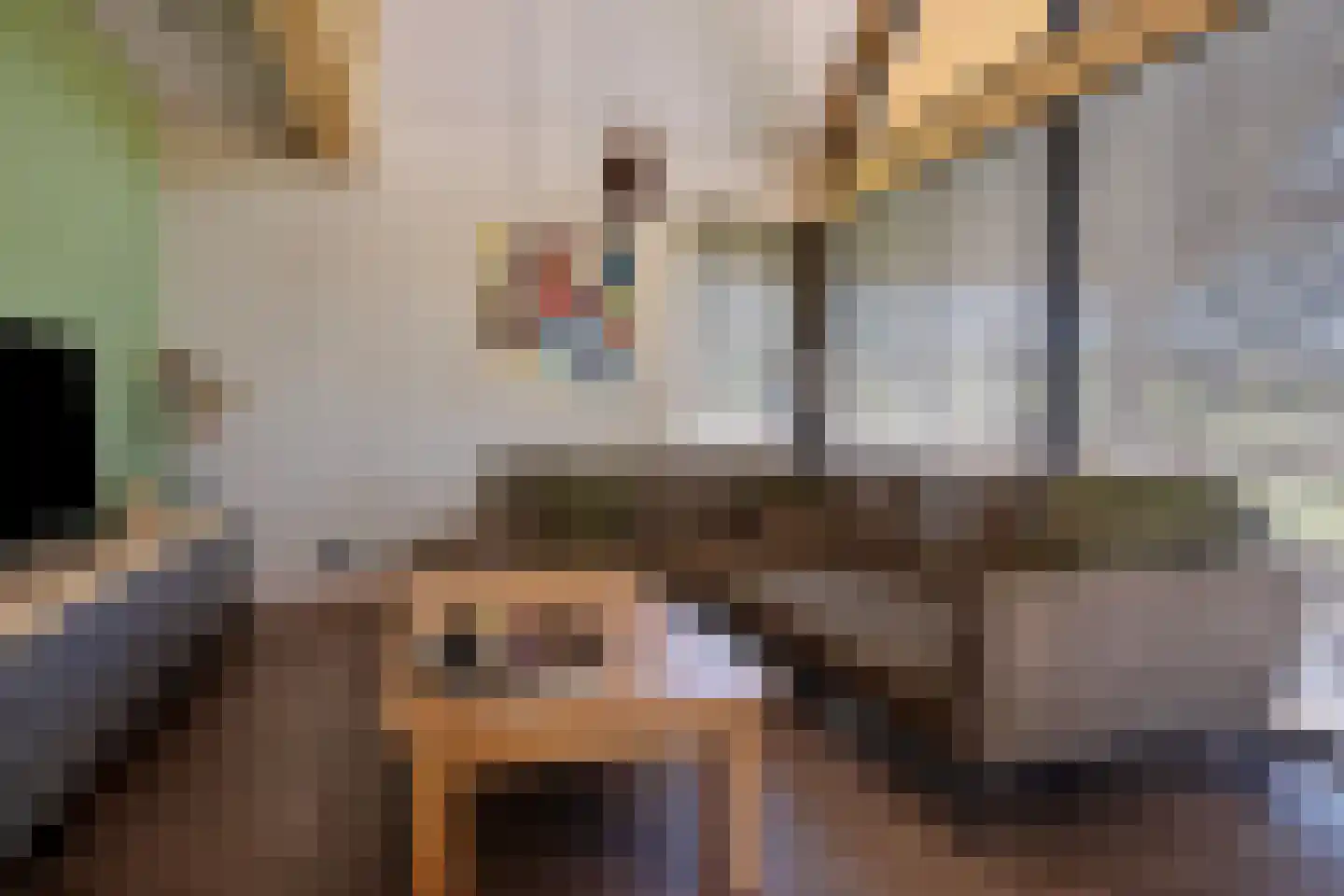 Veldhuisweg 1 IJhorst thumbnail 11