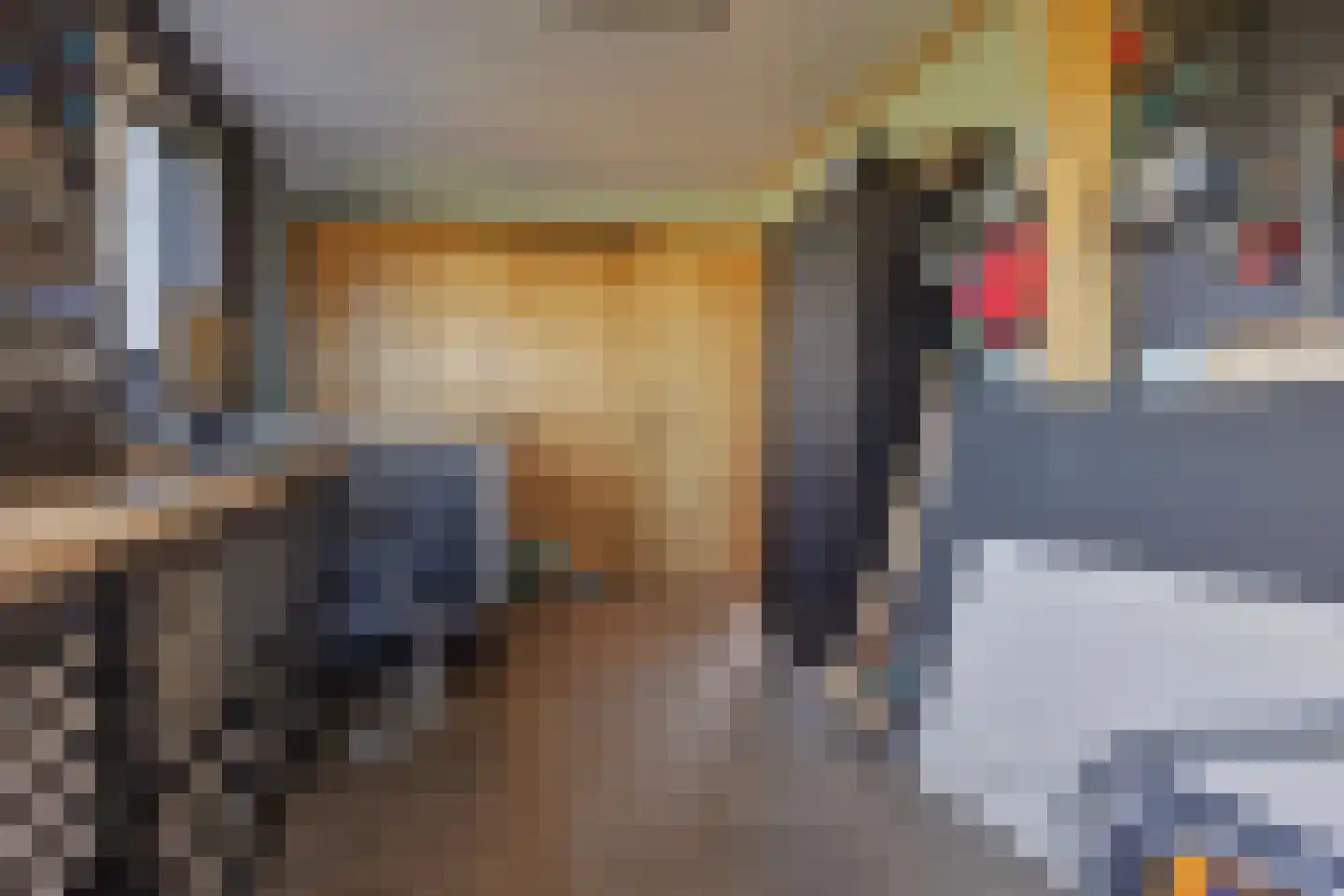 Veldhuisweg 1 IJhorst thumbnail 22
