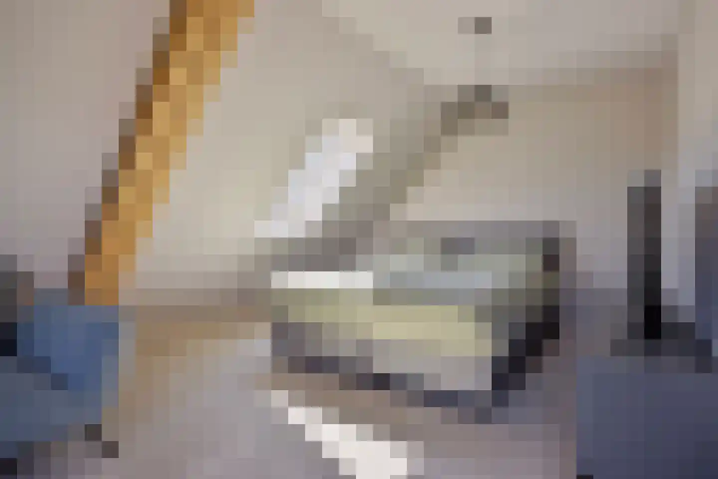 Veldhuisweg 1 IJhorst thumbnail 31