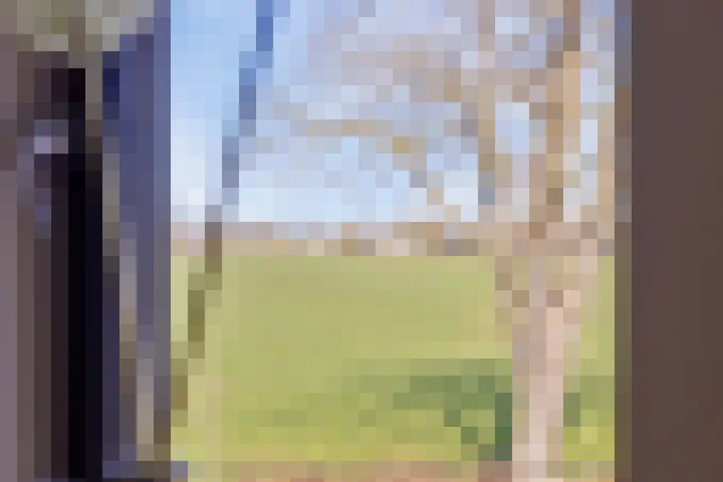 Veldhuisweg 1 IJhorst thumbnail 33