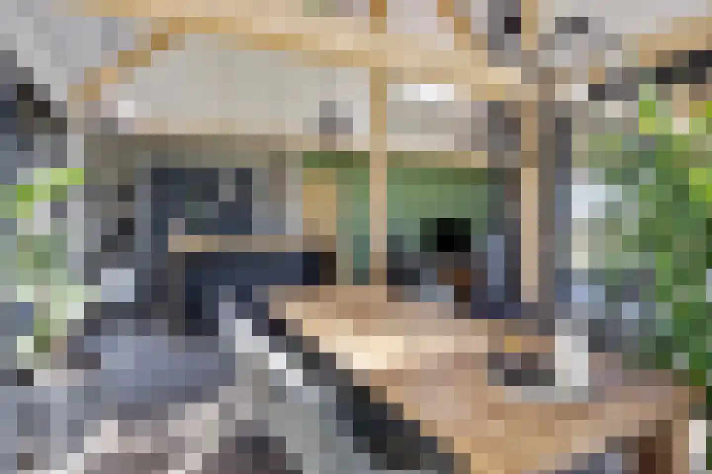Veldhuisweg 1 IJhorst thumbnail 4