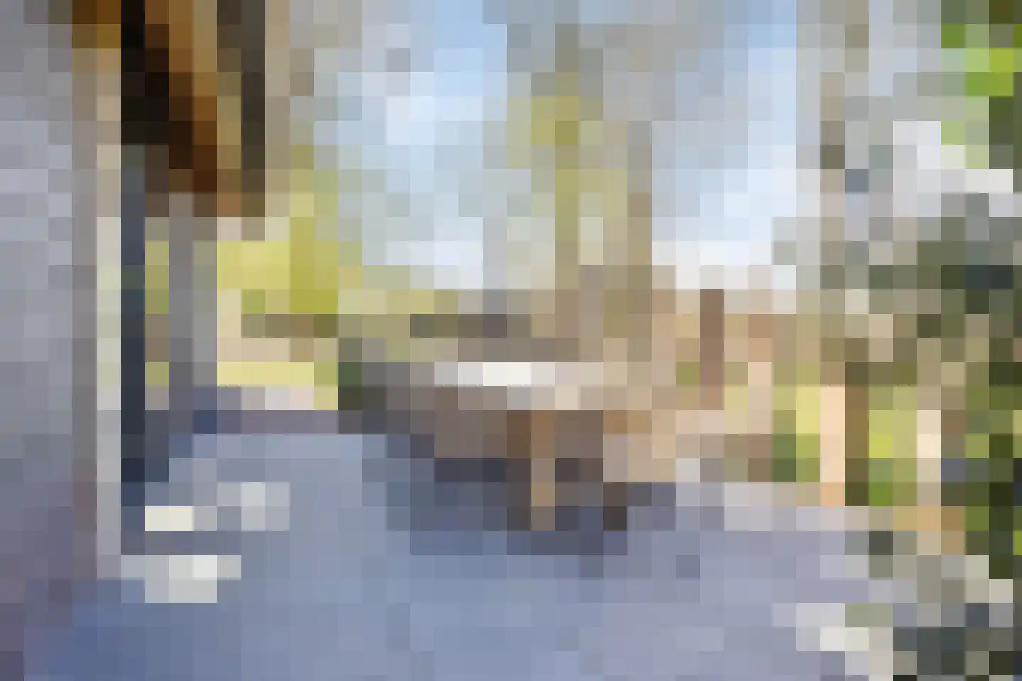Veldhuisweg 1 IJhorst thumbnail 41