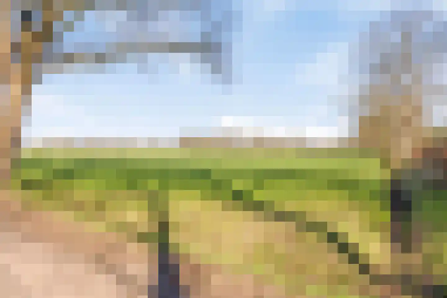 Veldhuisweg 1 IJhorst thumbnail 51