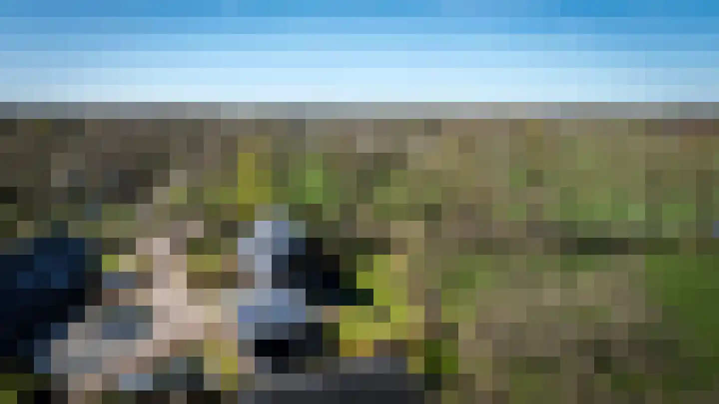 Veldhuisweg 1 IJhorst thumbnail 54