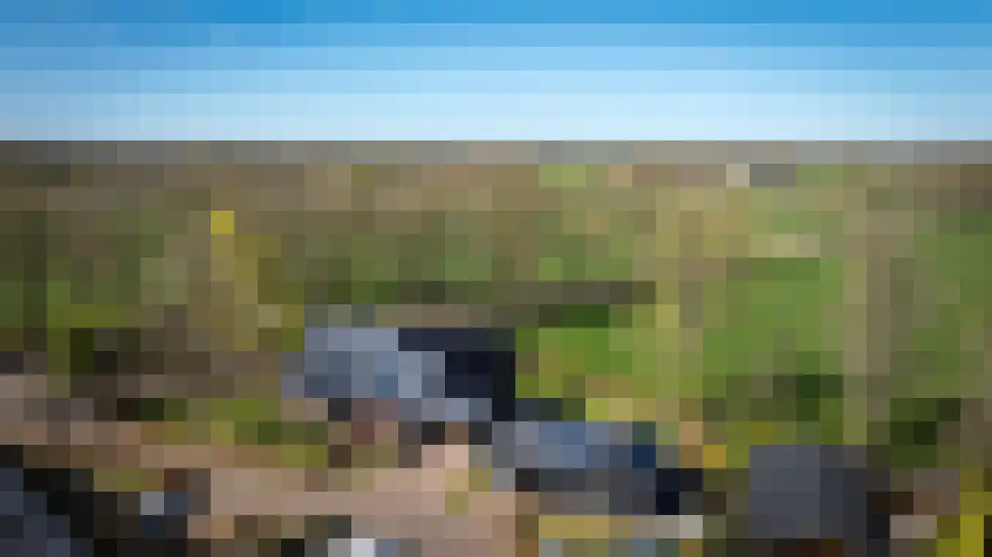 Veldhuisweg 1 IJhorst thumbnail 55