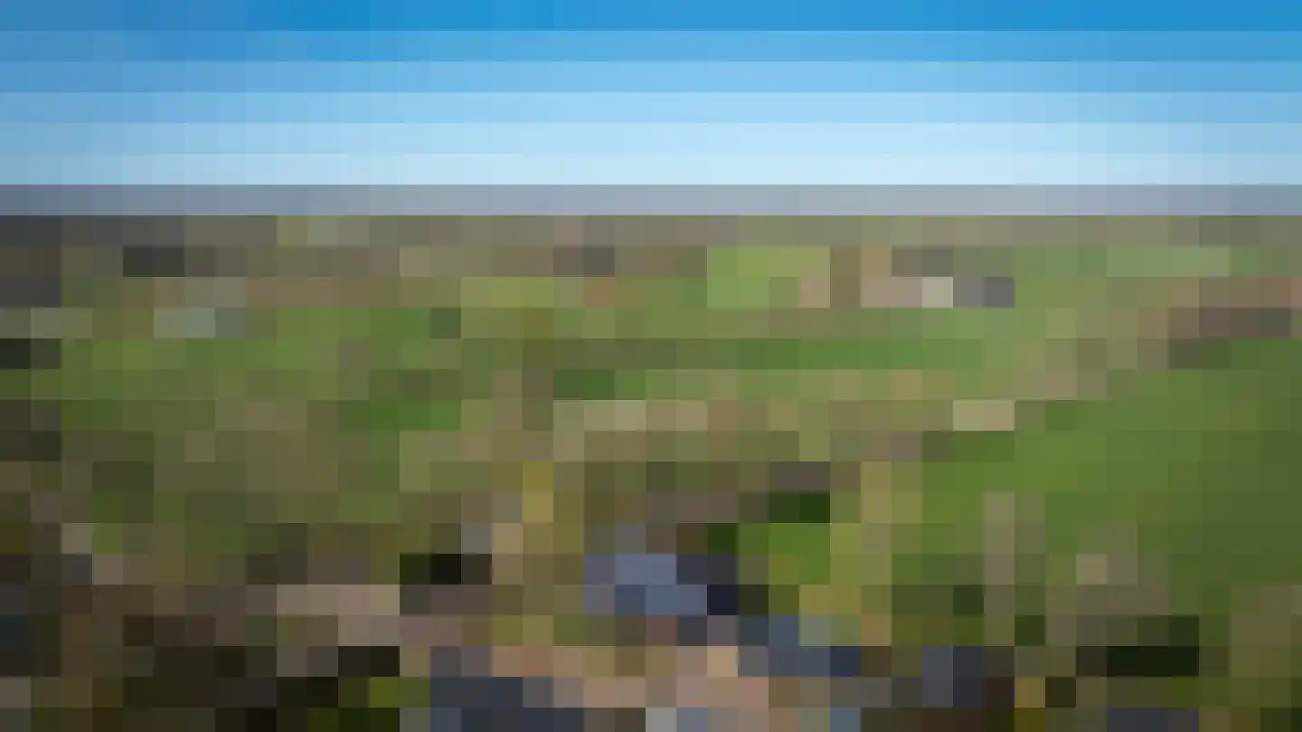 Veldhuisweg 1 IJhorst thumbnail 58
