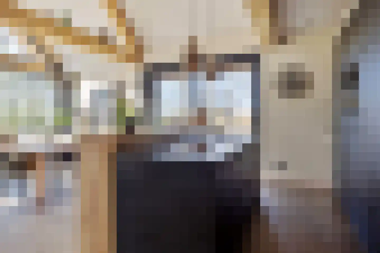 Veldhuisweg 1 IJhorst thumbnail 6