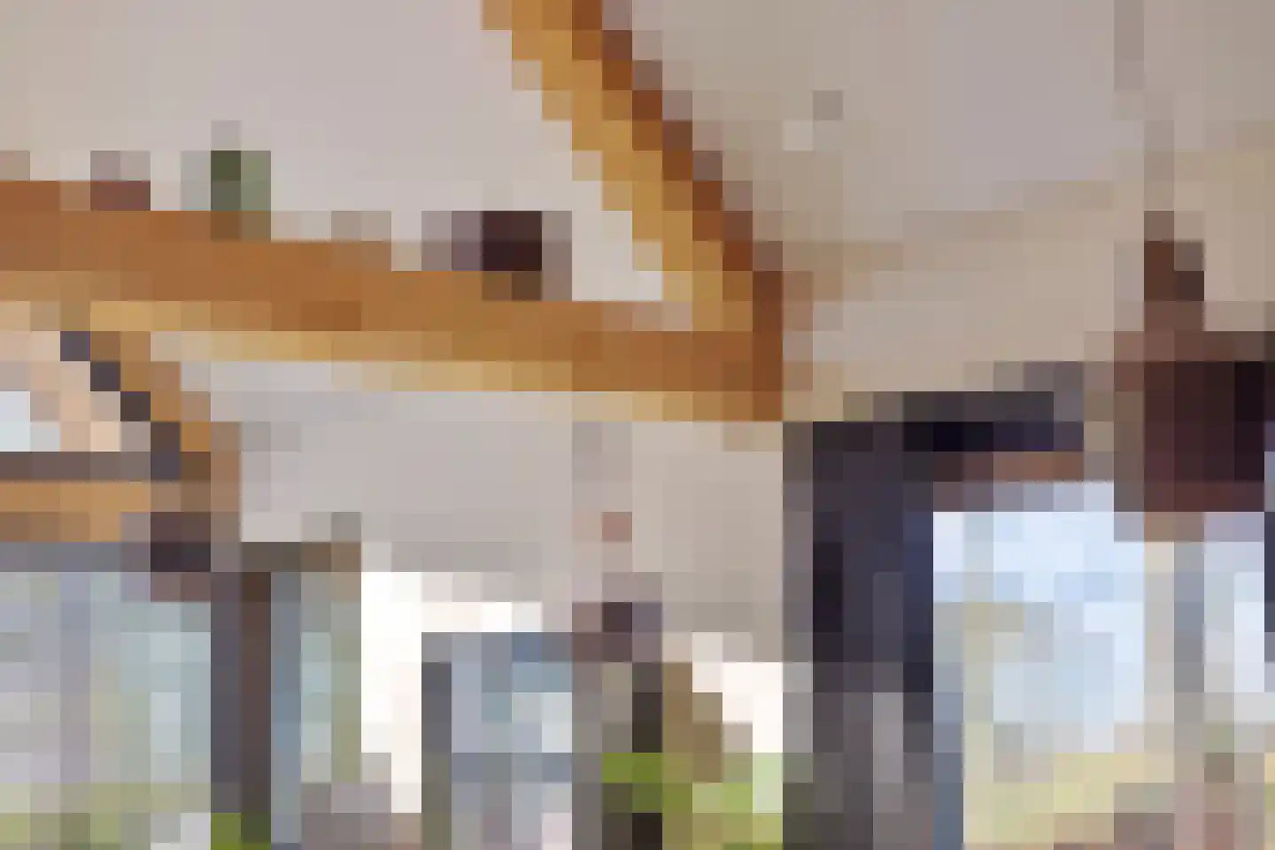 Veldhuisweg 1 IJhorst thumbnail 7