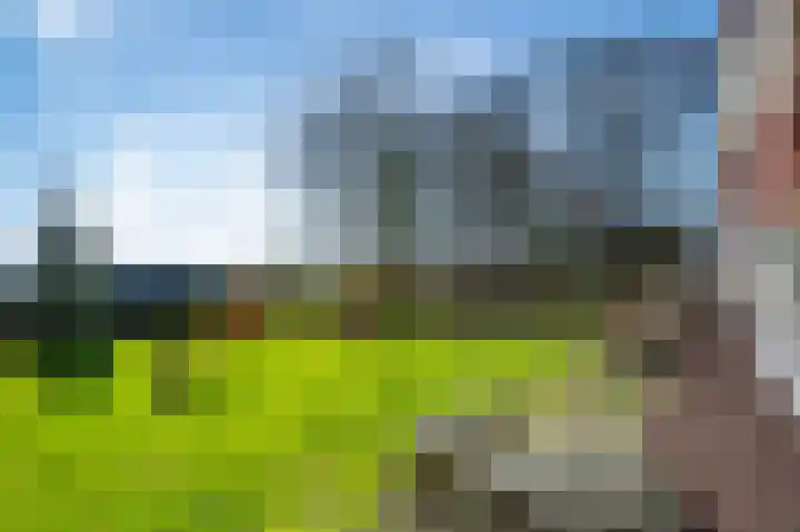 Veldhuisweg 11 IJhorst thumbnail 25