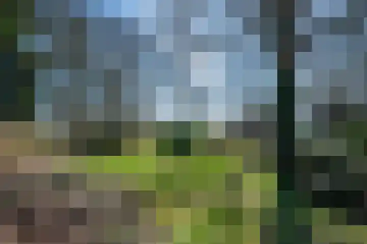 Veldhuisweg 11 IJhorst thumbnail 30