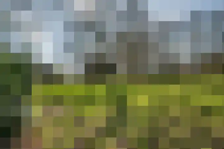Veldhuisweg 11 IJhorst thumbnail 32