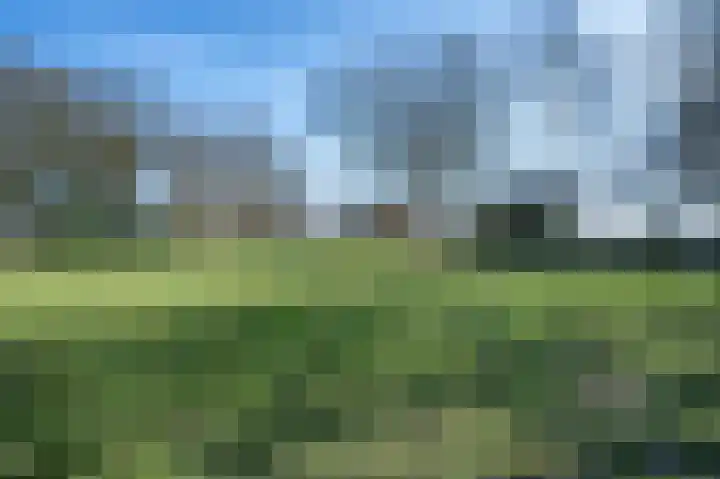 Veldhuisweg 11 IJhorst thumbnail 33