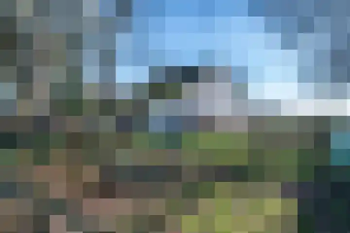 Veldhuisweg 11 IJhorst thumbnail 35