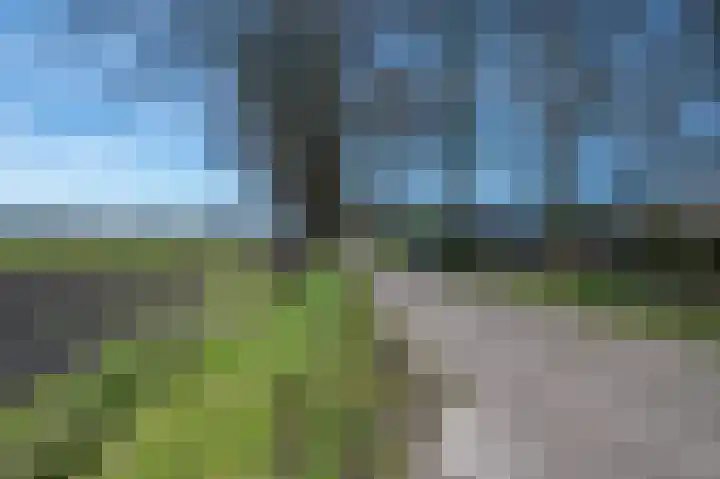 Veldhuisweg 11 IJhorst thumbnail 42