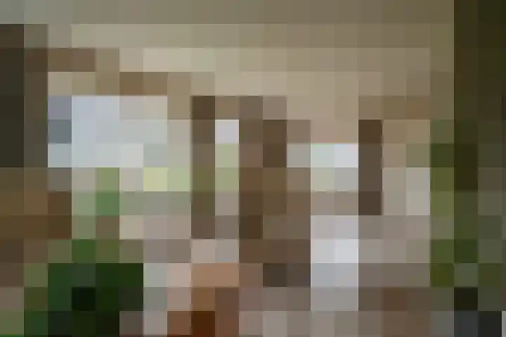 Veldhuisweg 11 IJhorst thumbnail 8