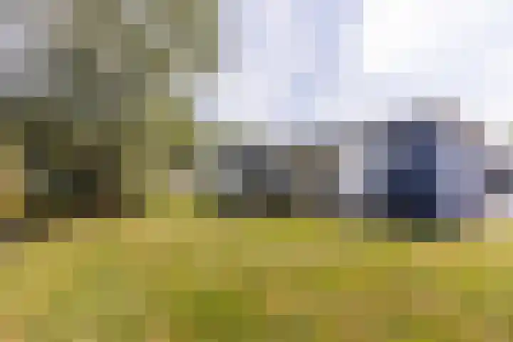 Veldhuisweg 4 115 IJhorst thumbnail 6