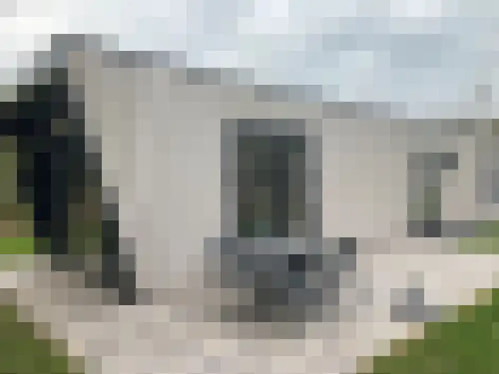 Veldhuisweg 4 151 IJhorst thumbnail 14