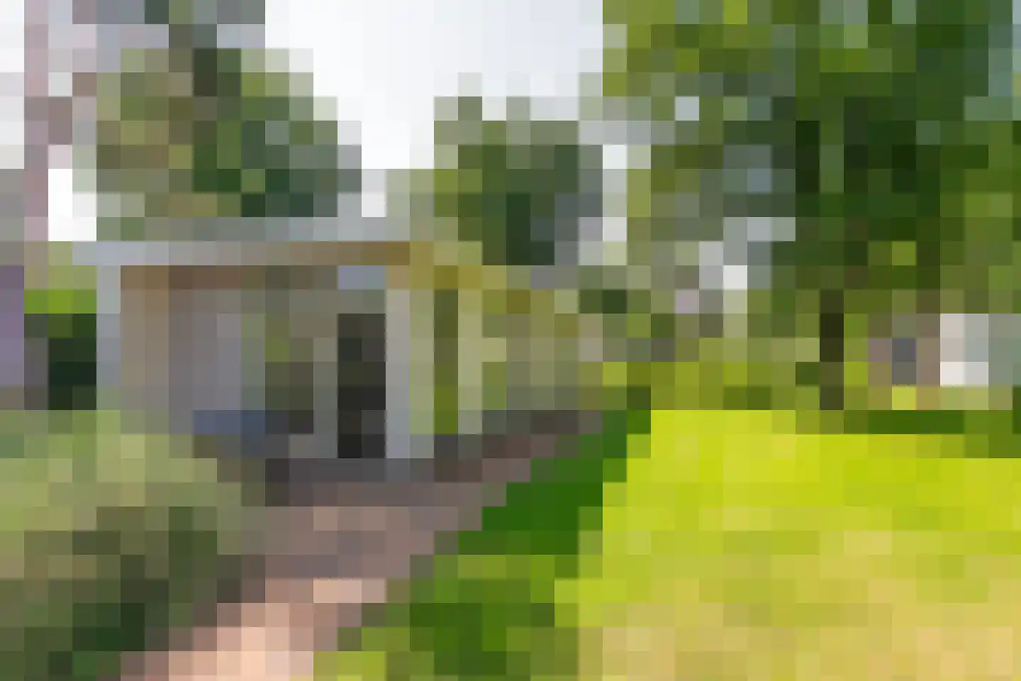 Veldhuisweg 4 207 IJhorst thumbnail 10