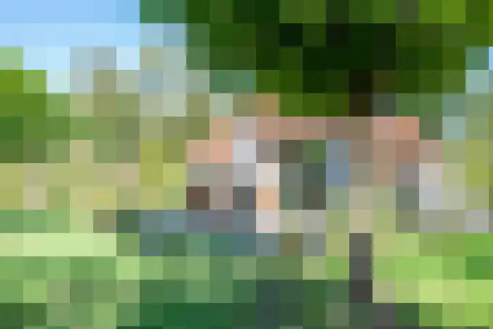 Veldhuisweg 4 34 IJhorst thumbnail 25