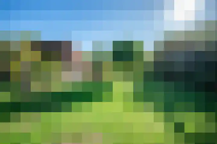 Veldhuisweg 4 34 IJhorst thumbnail 31
