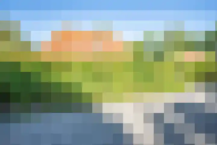 Veldhuisweg 4 34 IJhorst thumbnail 32