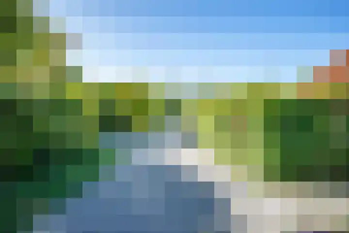 Veldhuisweg 4 34 IJhorst thumbnail 33