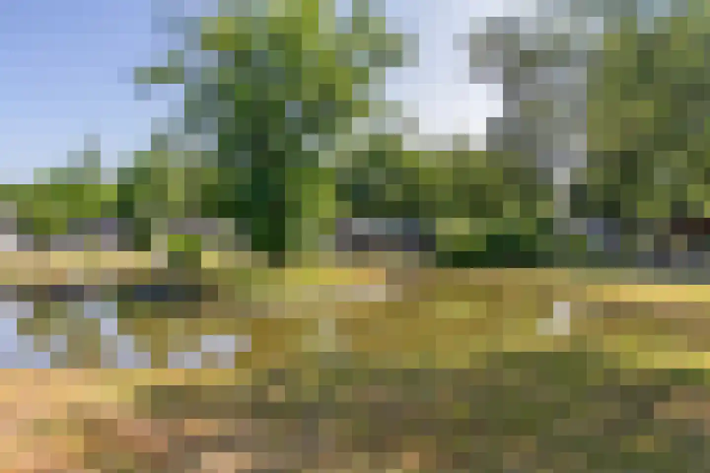 Veldhuisweg 4 88 IJhorst thumbnail 14