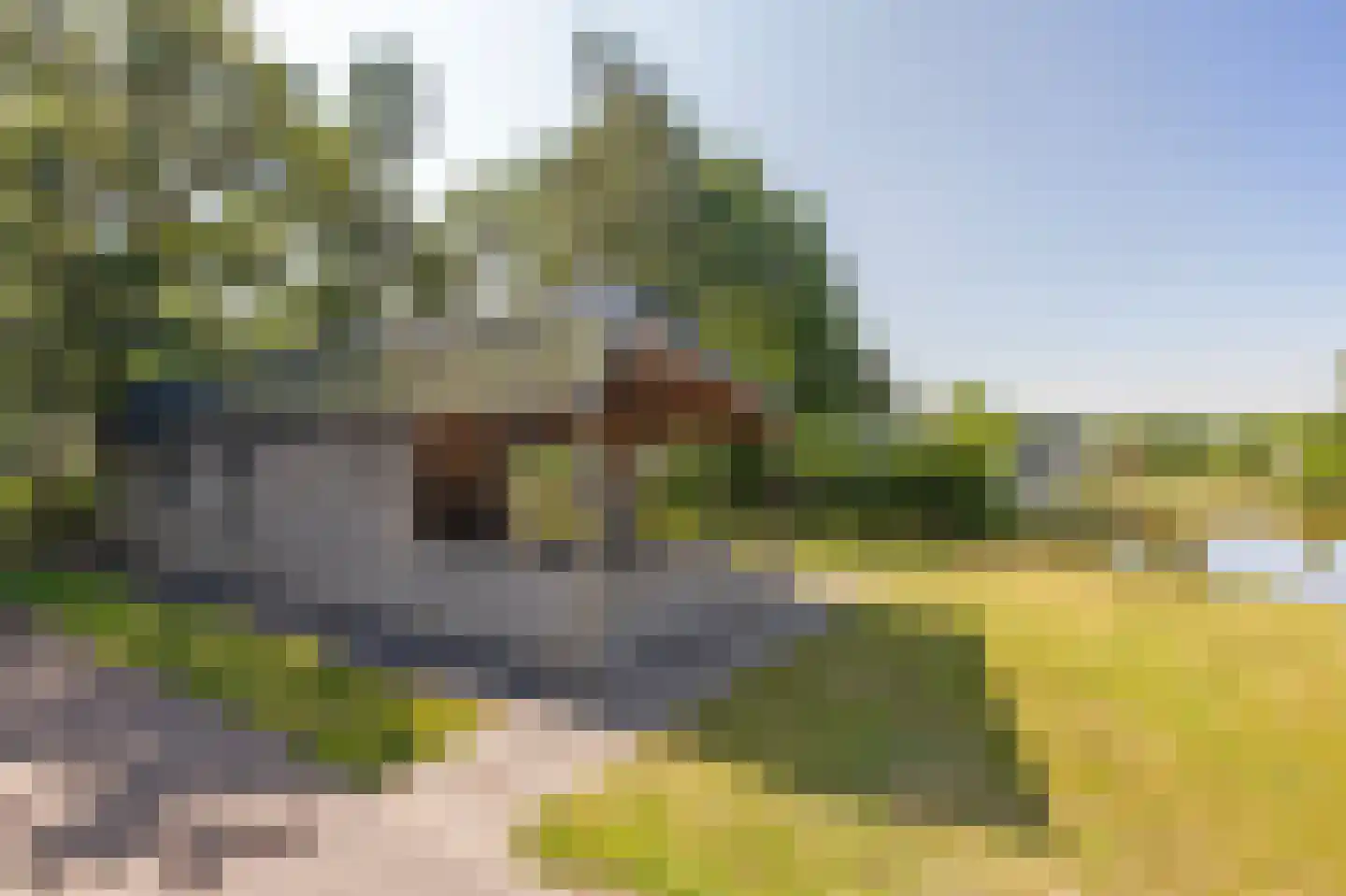 Veldhuisweg 4 88 IJhorst thumbnail 15