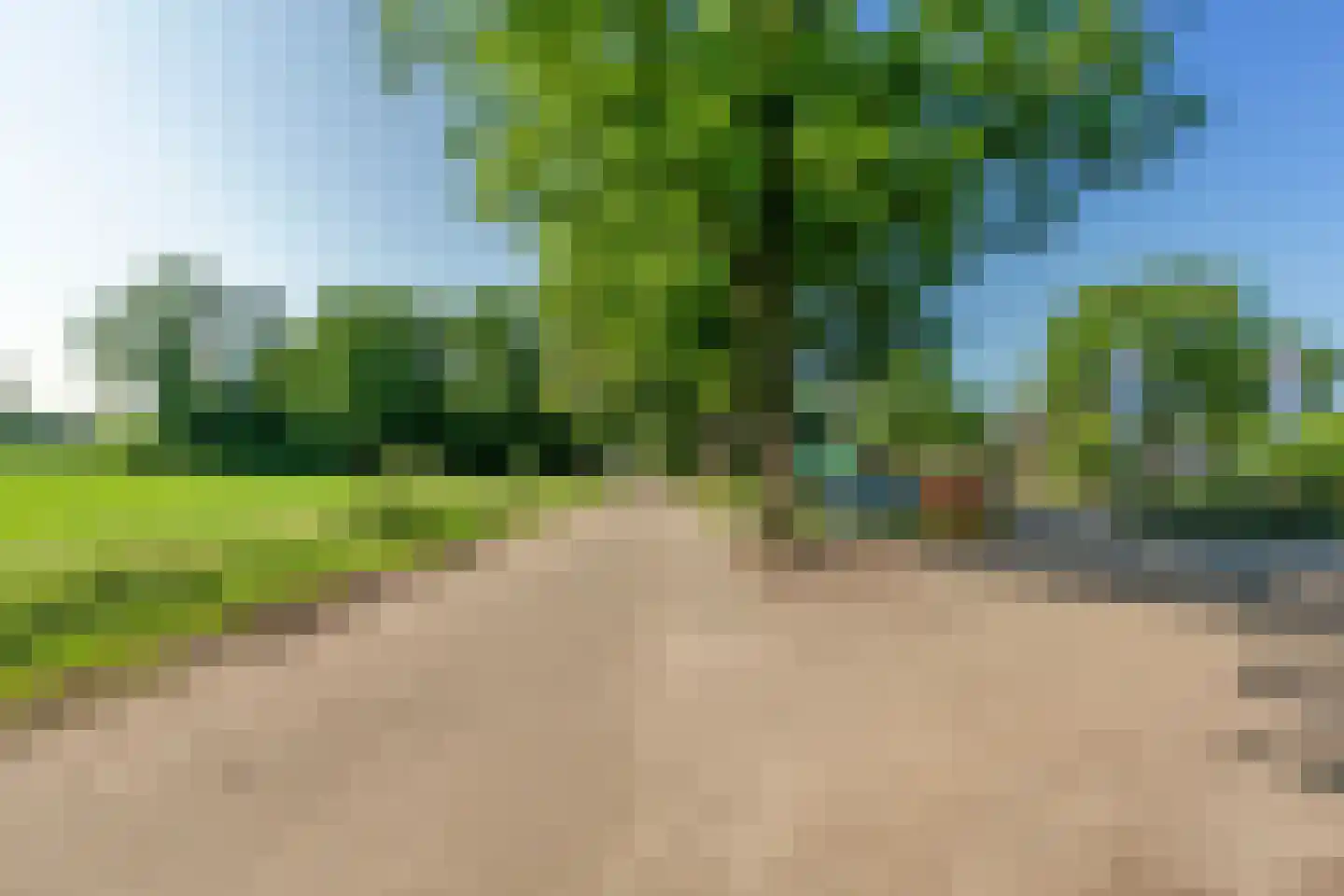 Veldhuisweg 4 88 IJhorst thumbnail 17