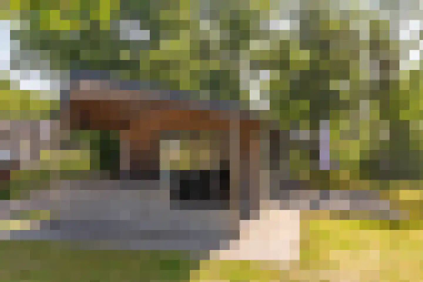 Veldhuisweg 4 88 IJhorst thumbnail 9