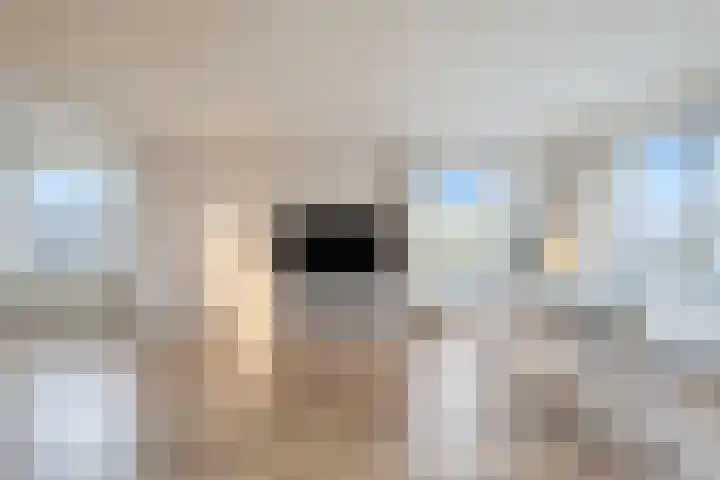 Veldhuizenstraat 74 Amsterdam thumbnail 8