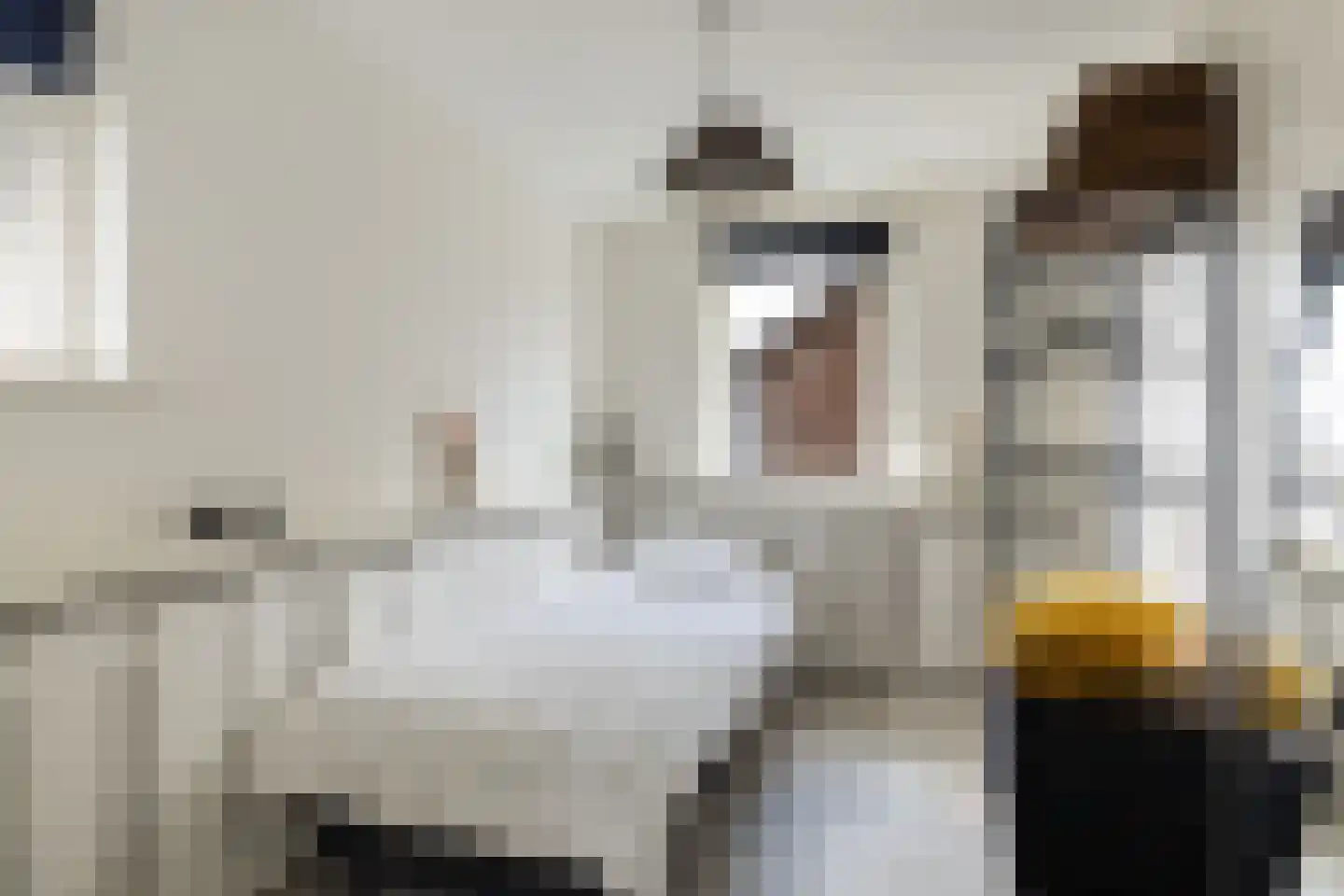 Veldhuizerbrink 15 Ede thumbnail 24