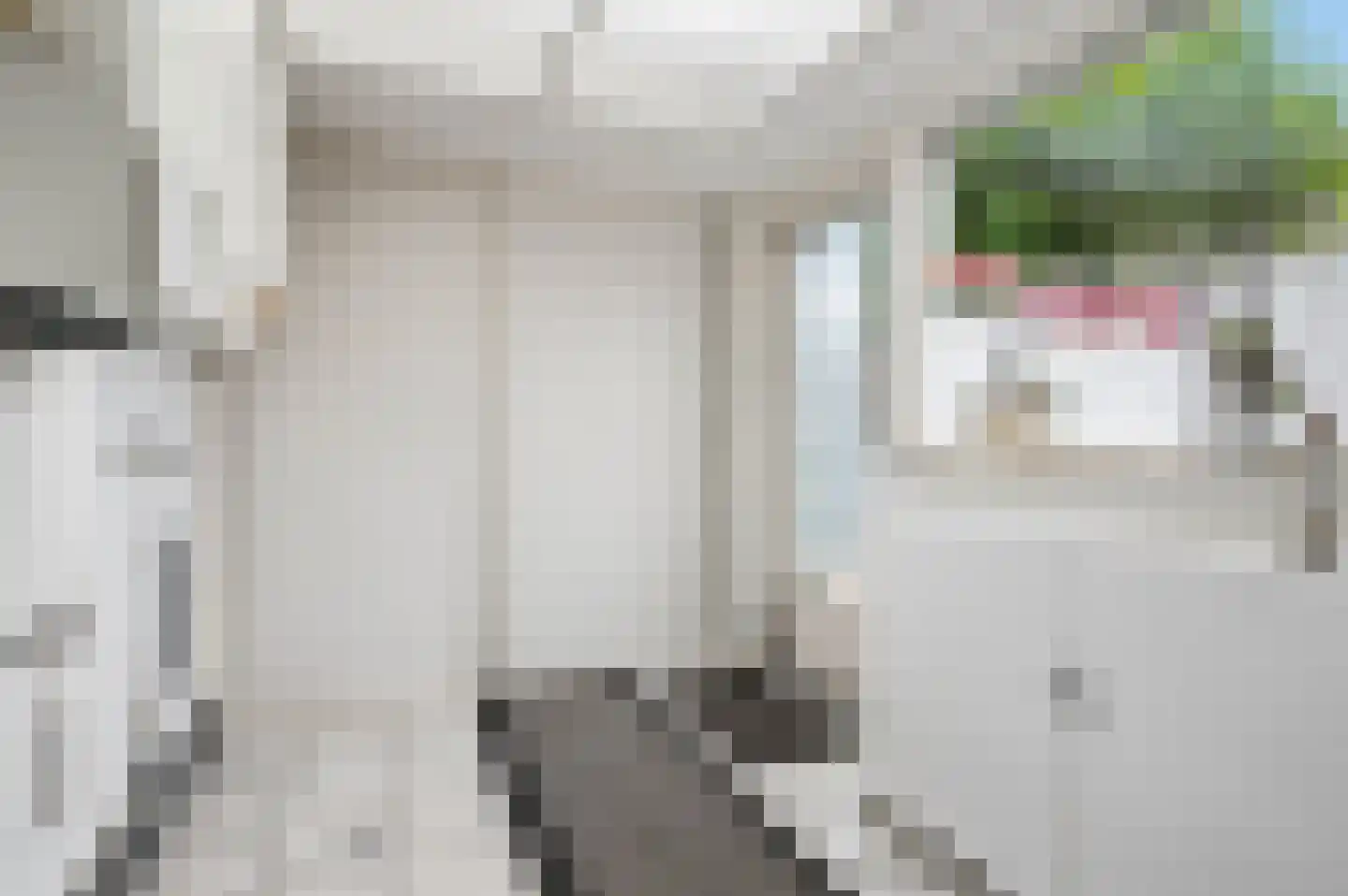 Veldhuizerbrink 2 Ede thumbnail 10