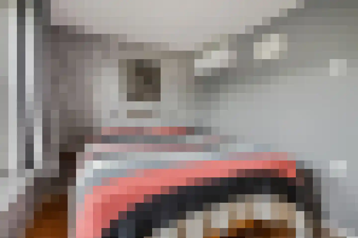 Veldhuizerbrink 4 Ede thumbnail 14