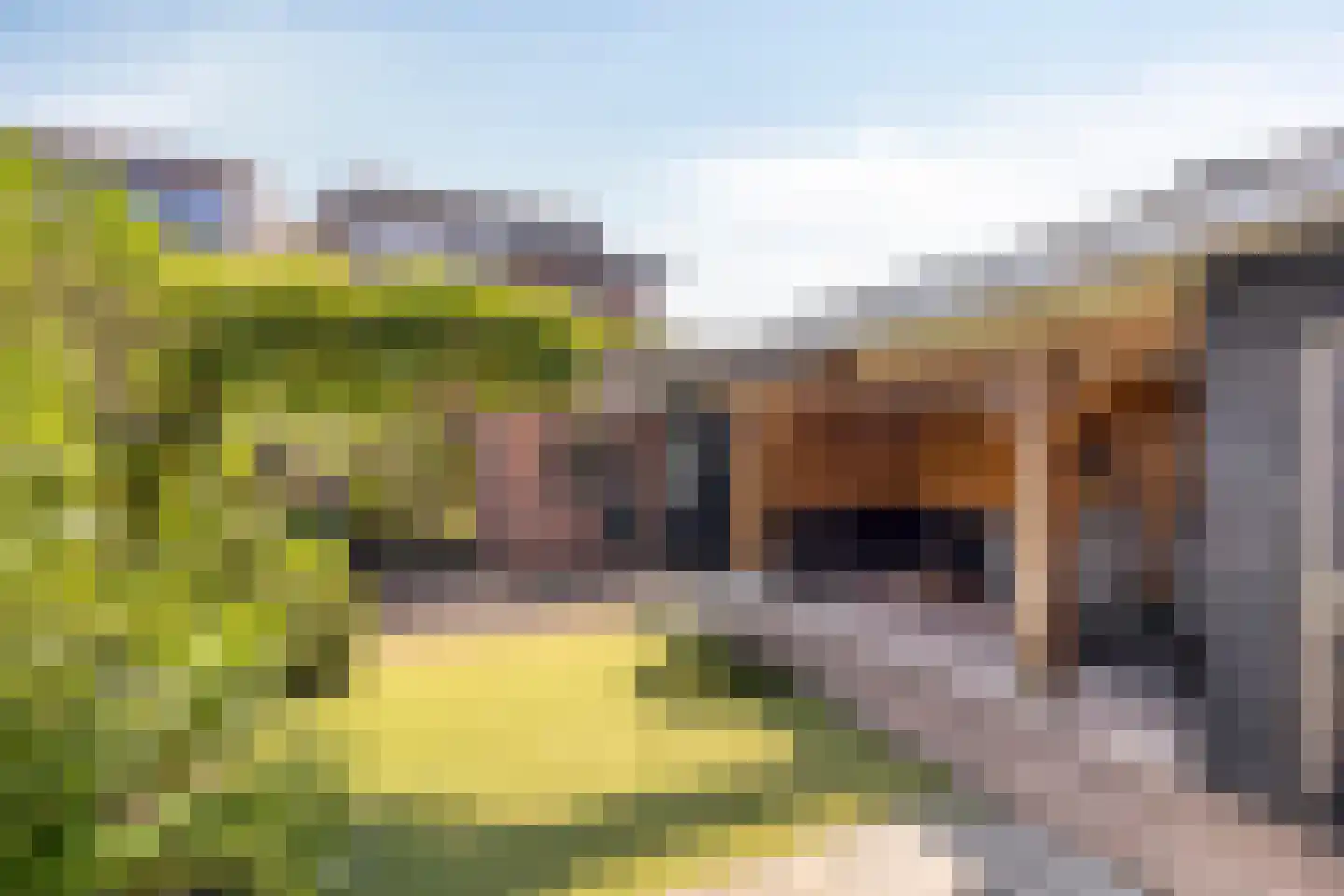 Veldhuizerbrink 7 Ede thumbnail 37
