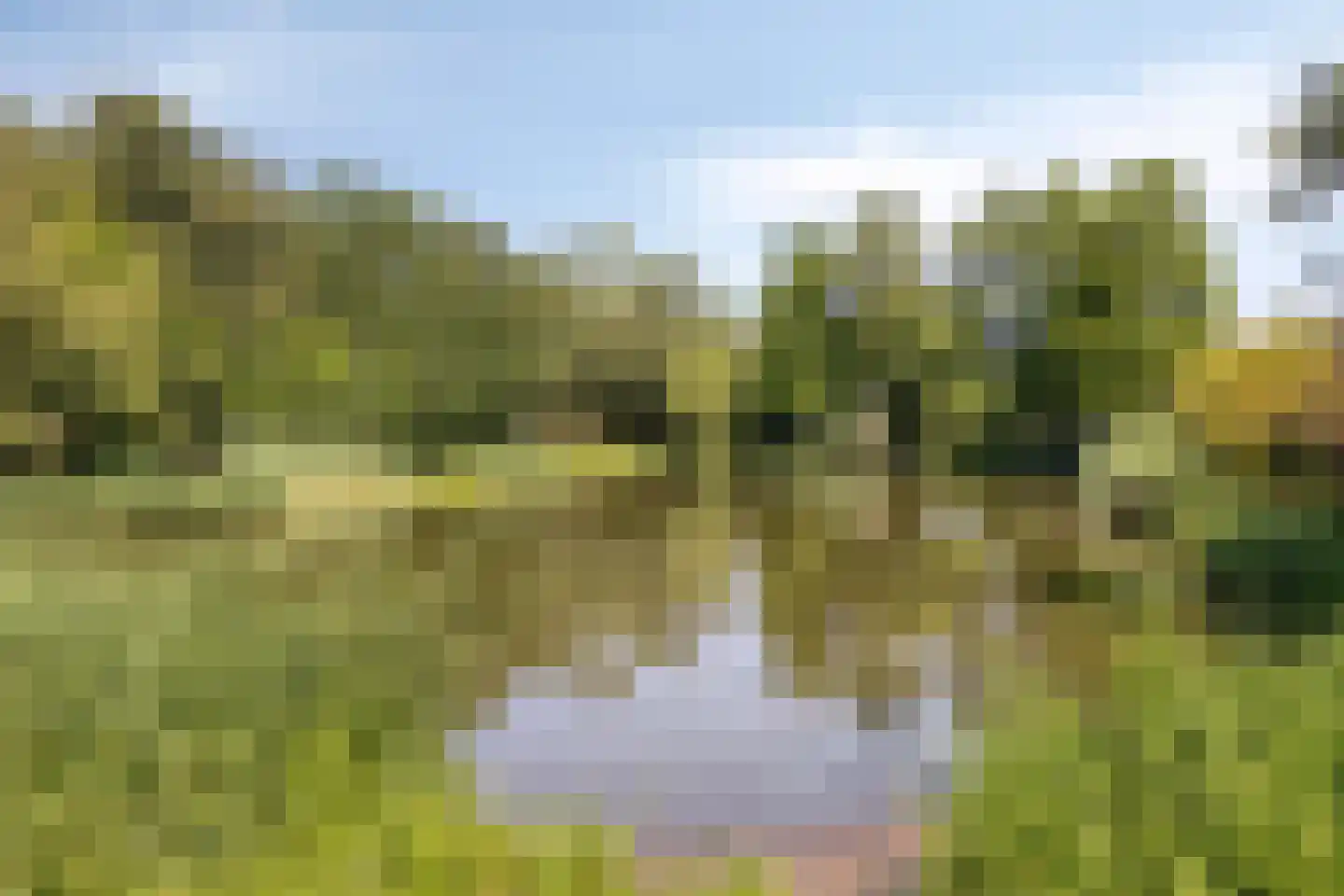 Veldhuizerbrink 7 Ede thumbnail 39