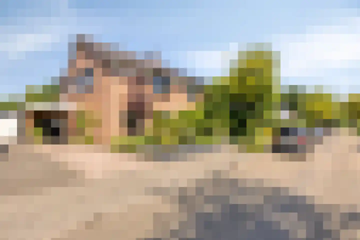 Veldhuizerbrink 7 Ede thumbnail 5
