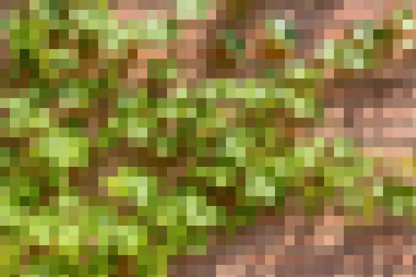 Veldhuizerbrink 7 Ede thumbnail 8