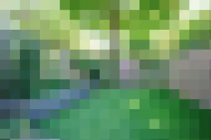 Veldhuizerweg 23 Ede thumbnail 28