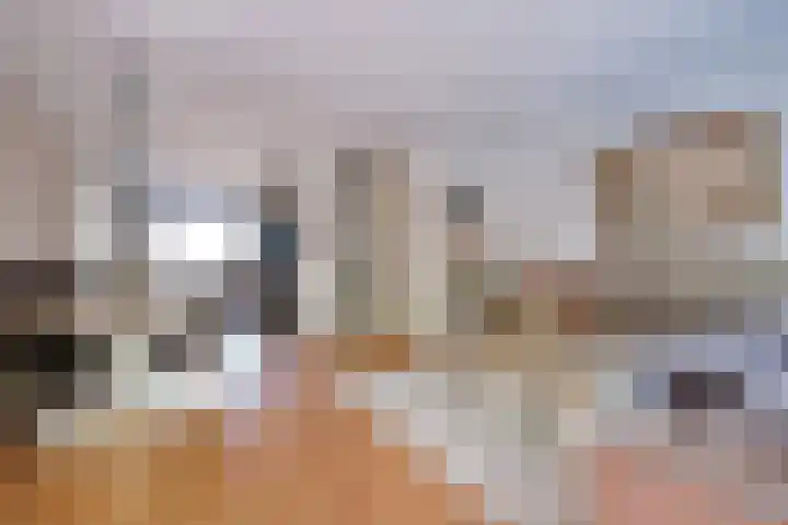 Veldhuizerweg 23 Ede thumbnail 7