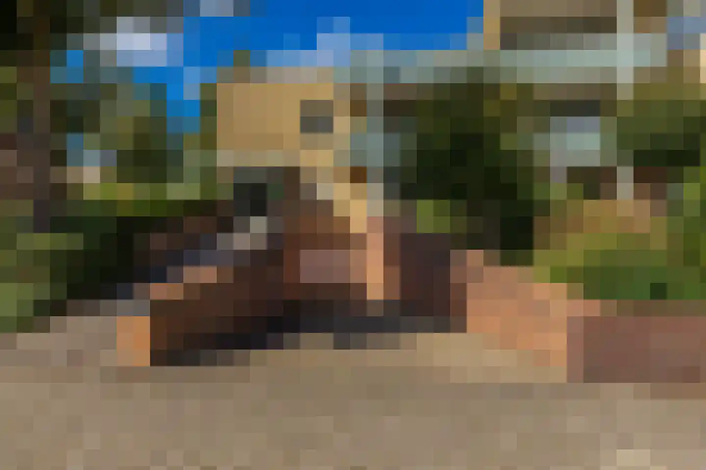 Veldhuyzen van Zantenpark 27 Lisse thumbnail 33