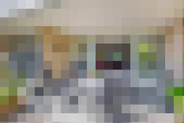 Veldhuyzen van Zantenpark 5 Lisse thumbnail 21