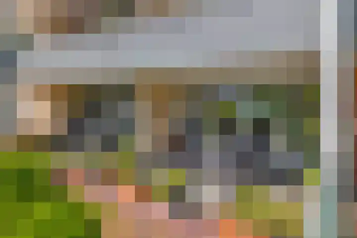 Veldhuyzen van Zantenpark 5 Lisse thumbnail 22