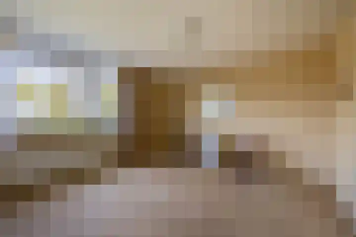 Veldhuyzen van Zantenpark 5 Lisse thumbnail 23