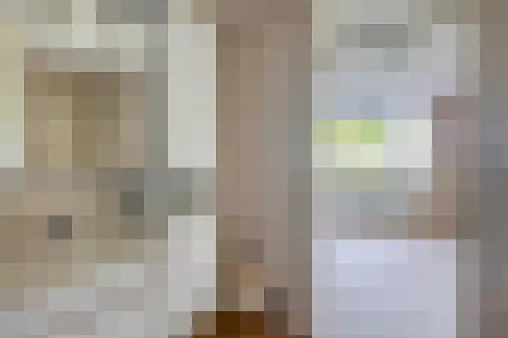 Veldhuyzen van Zantenpark 5 Lisse thumbnail 26