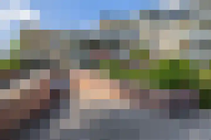 Veldhuyzen van Zantenpark 5 Lisse thumbnail 36