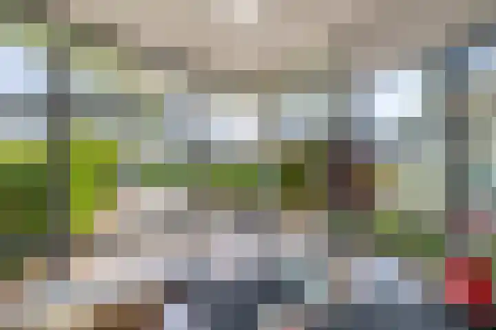 Veldhuyzen van Zantenpark 5 Lisse thumbnail 38