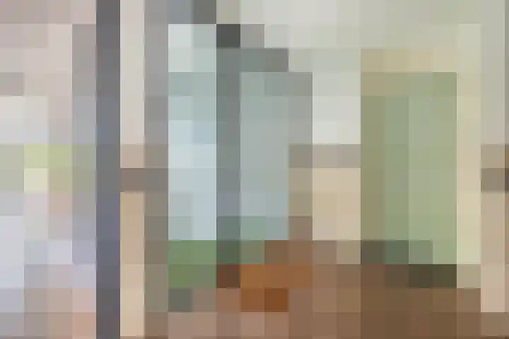 Veldhuyzen van Zantenpark 5 Lisse thumbnail 40